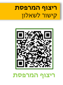 איור מתוך המסמך הרשמי, עמוד 52, איור 1