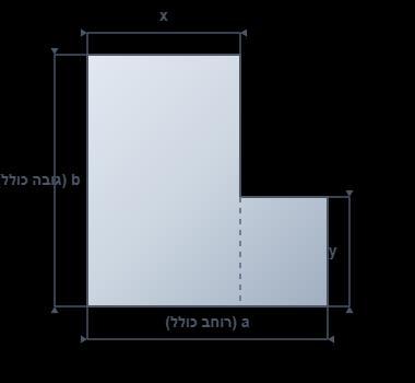 איור מתוך המסמך הרשמי, עמוד 98