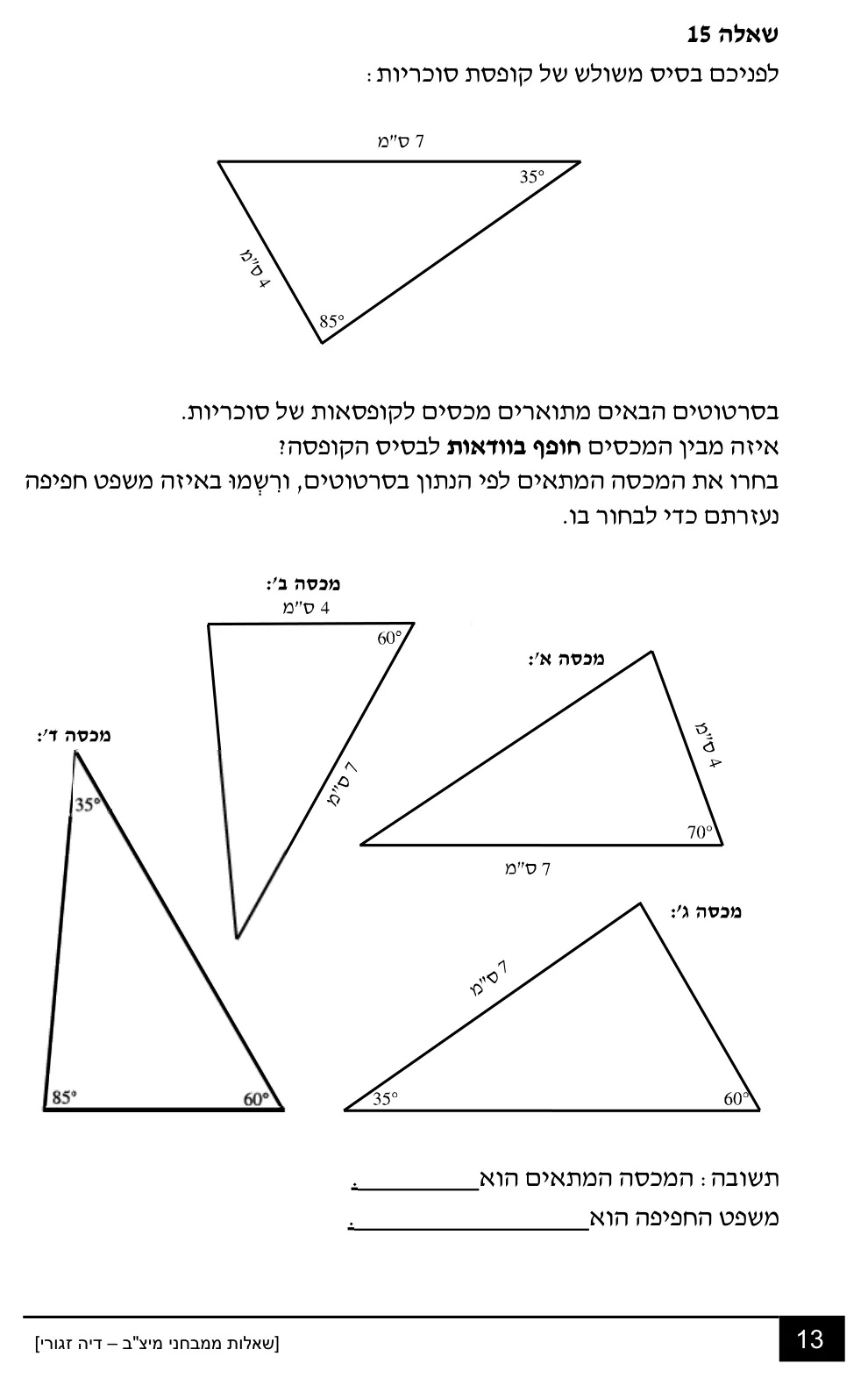 עמוד 13 מתוך 18 — שאלות מיצ״ב