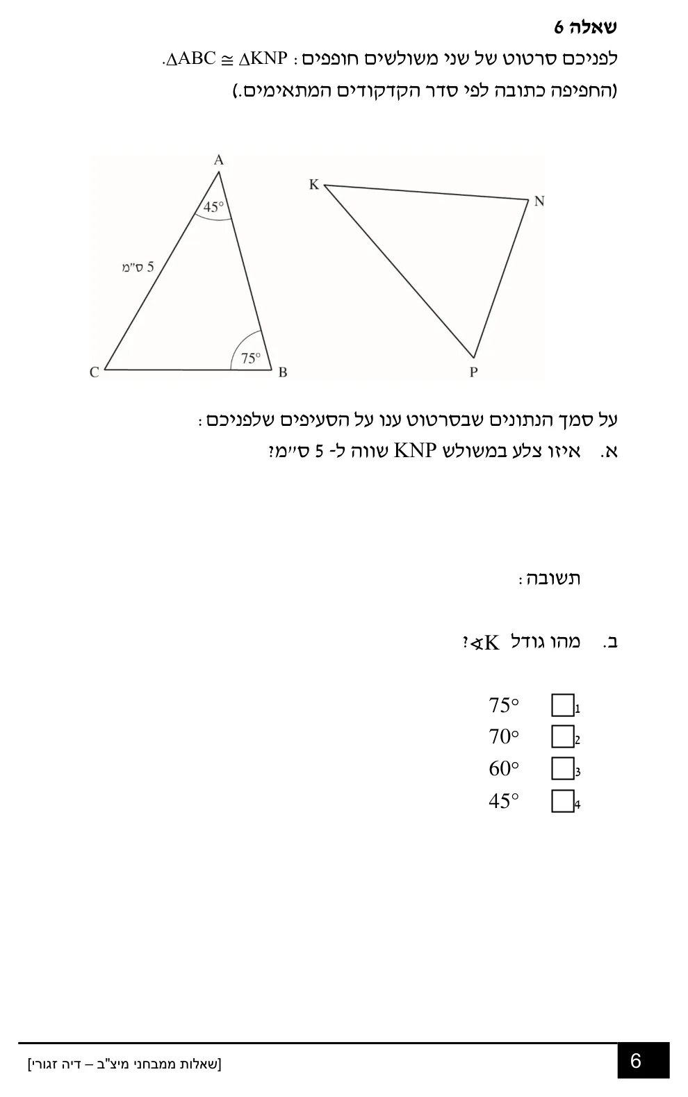 עמוד 6 מתוך 18 — שאלות מיצ״ב